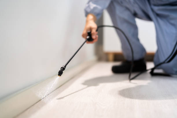 Licensed Pest Control service in Phoenix, IL - Show Me Pest Control